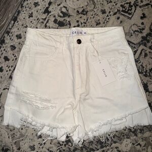 Cello Women's Cream Distressed Jean Shorts